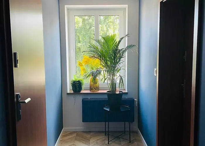 Apartament Gryf Chojnice